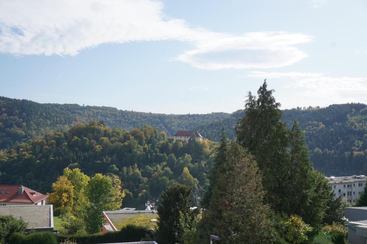 Ferienwohnung Schauinsland ノイエンビュルク エクステリア 写真